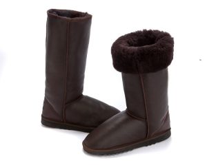 Stealth Tall Boots Chocolate